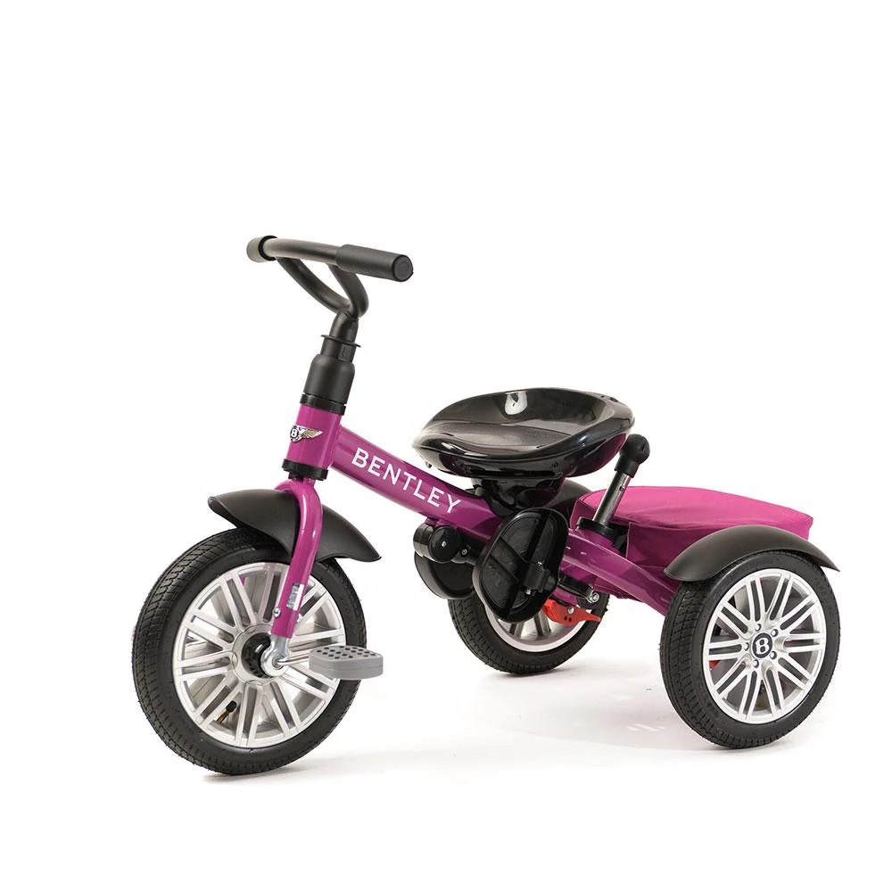 BENTLEY 6-in-1 Licensed Stroller Trike - Image 19