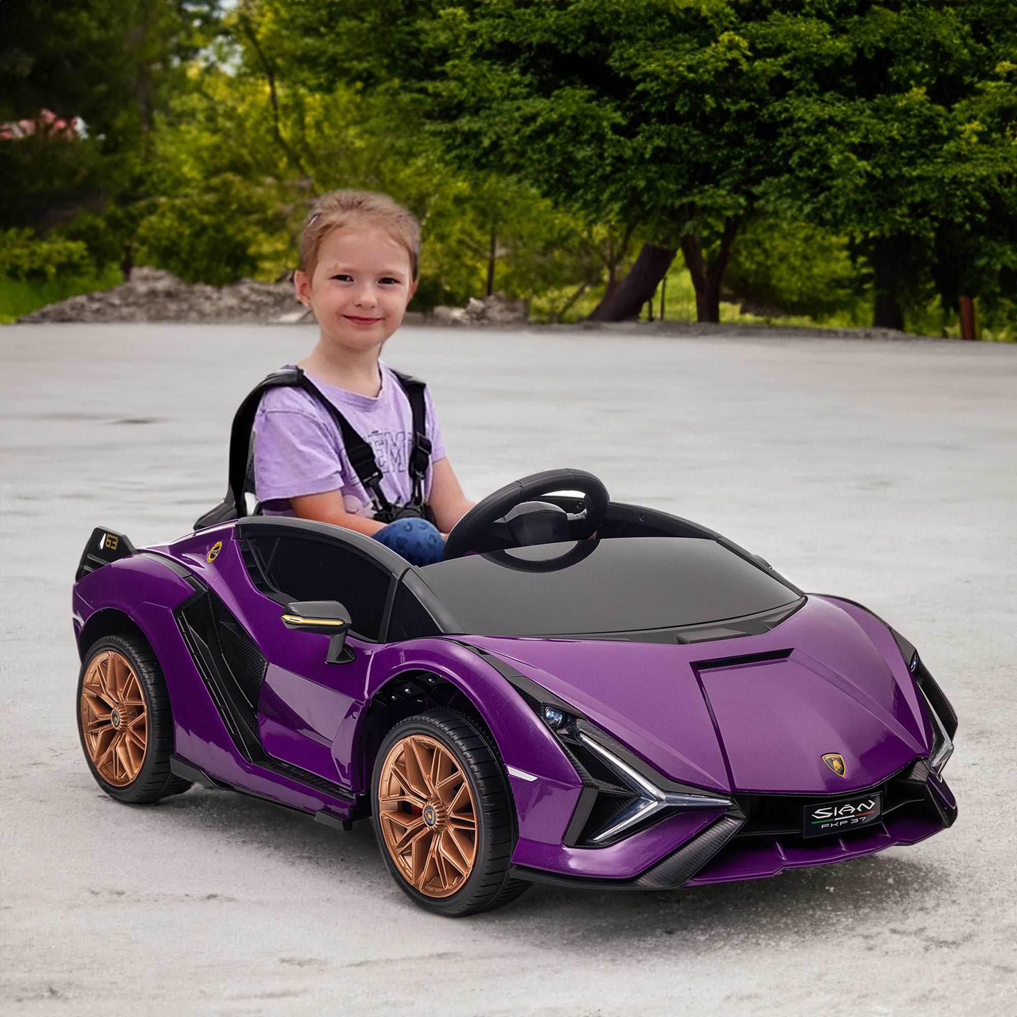 Lamborghini SIAN FKP 37 12V Ride on Car with Scissor Doors and Remote Control, Licensed - Image 3